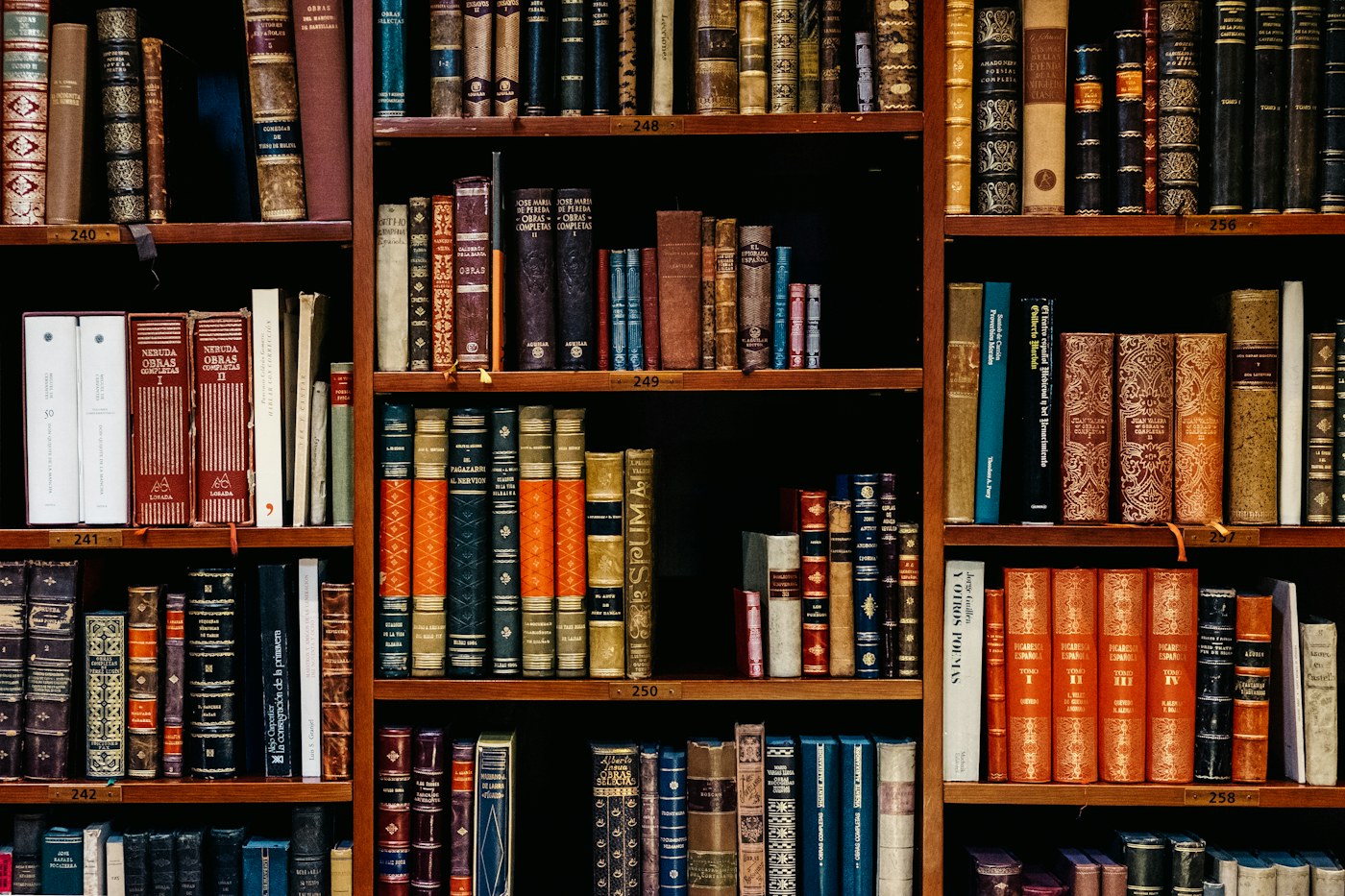 A wall of carefully organised books in a study library